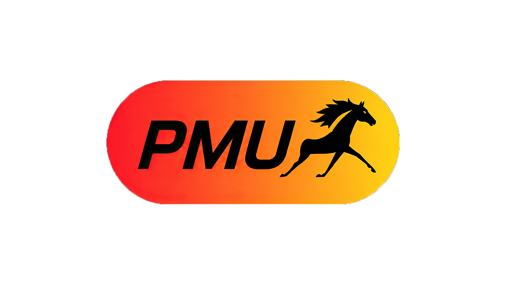 Identité visuelle — PMU